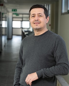 Dimitrios Tsiplakidis, Professor